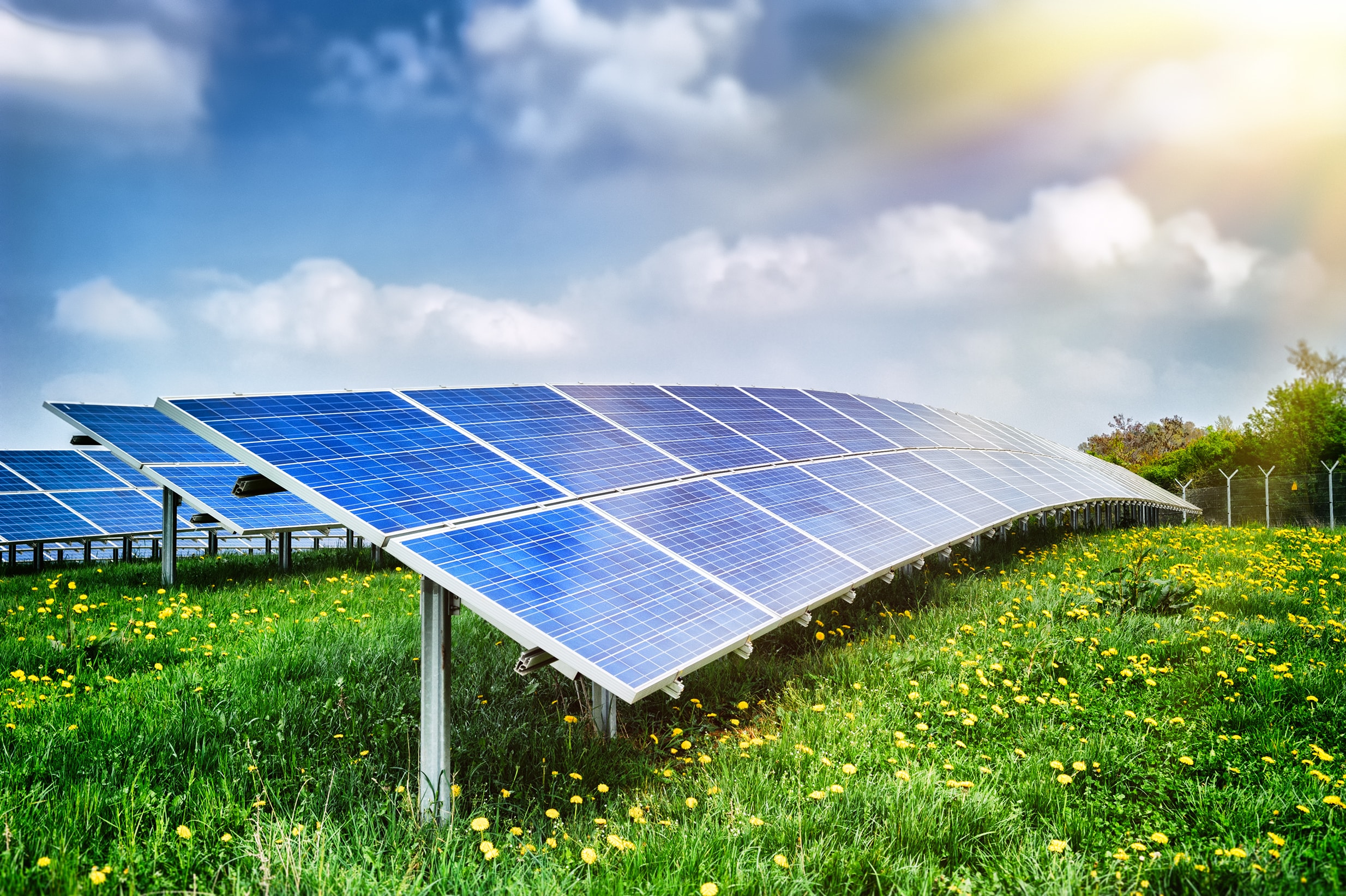 Renewable energy delivers a significant increase in supply